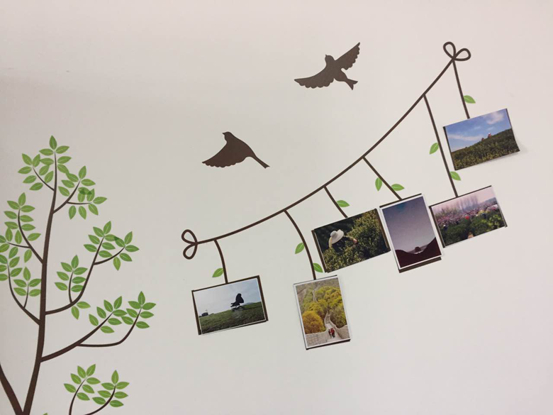 1494496505185141.png 图片1_副本.png